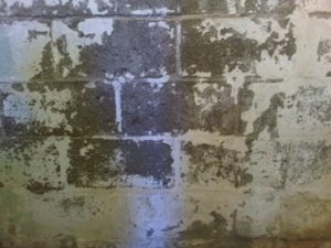 Painted concrete block foundation wall that is peeling due to high moisture content of blocks