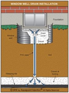  Drain de puits de fenêtre à vis sans fin 