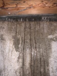 Water leaking over the basement wall from outside