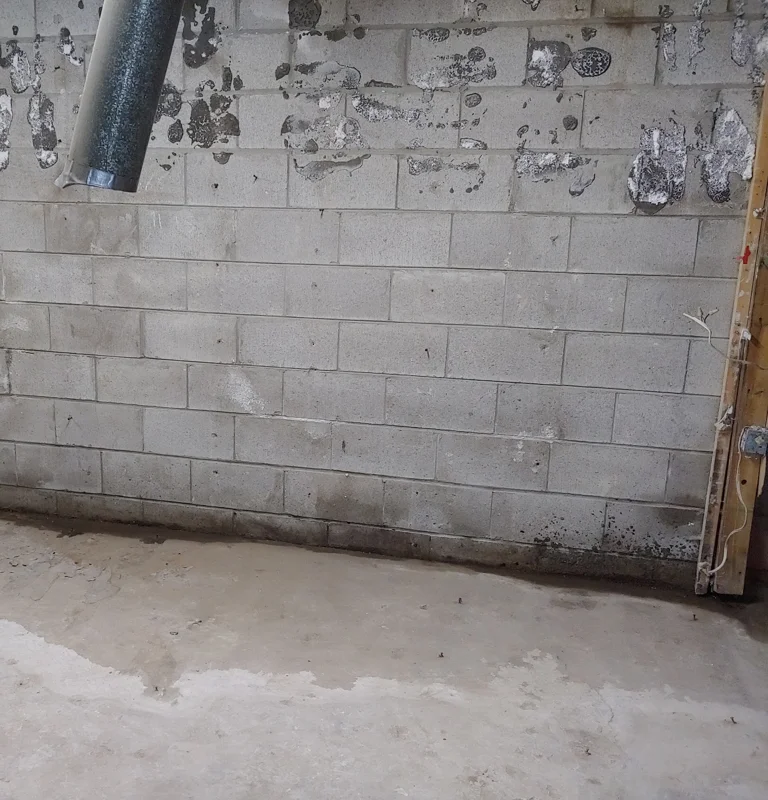 Water seeping through the cove joint where basement wall meets the floor.