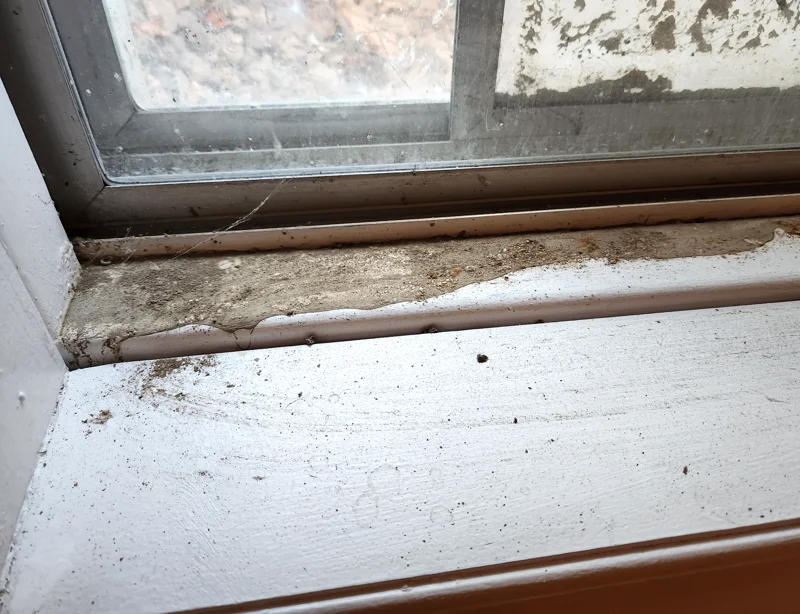 Water and mud on basement window sill from window-well overflow.