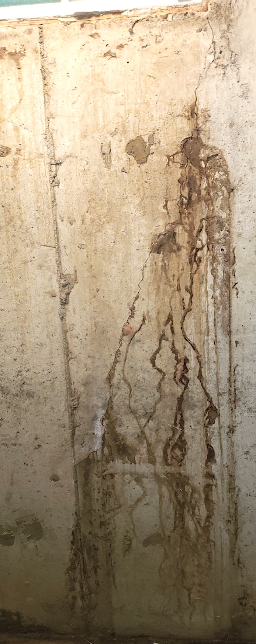 Foundation wall crack with water staining and mineral deposits from basement leak