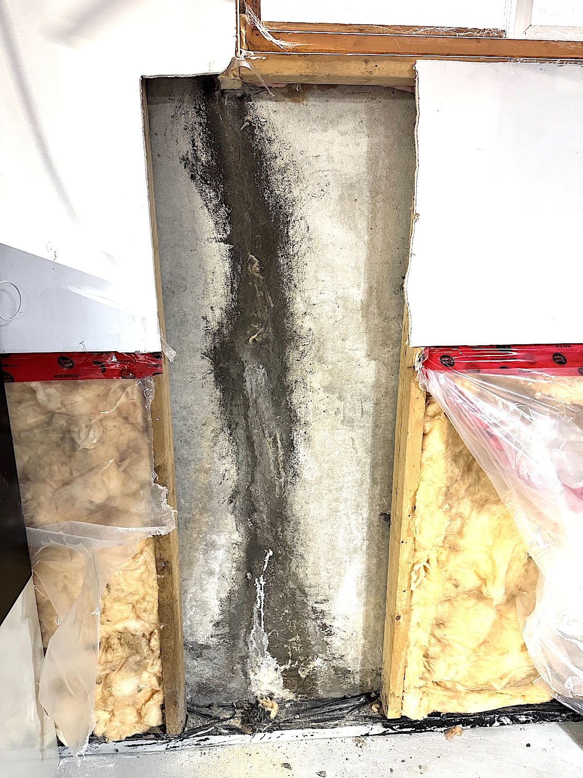 Previously repaired foundation crack still leaking behind finished basement wall