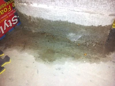 Water entering a basement through the cove joint where the foundation wall meets the basement floor.