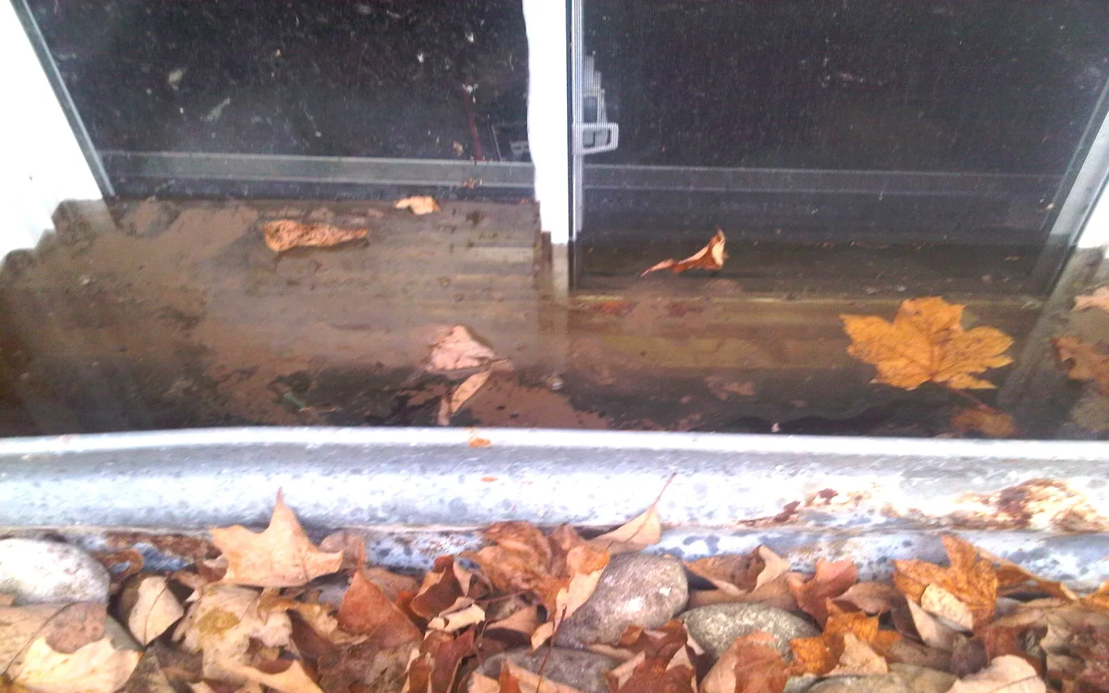 Basement window well filled with water