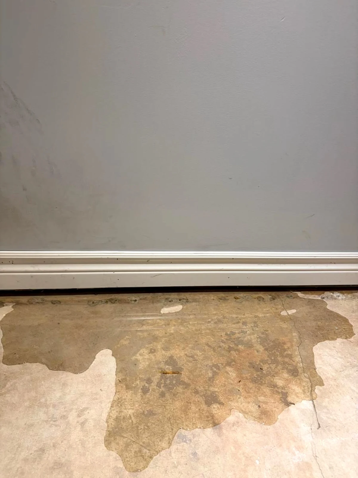 Water emerging from behind a finished basement wall