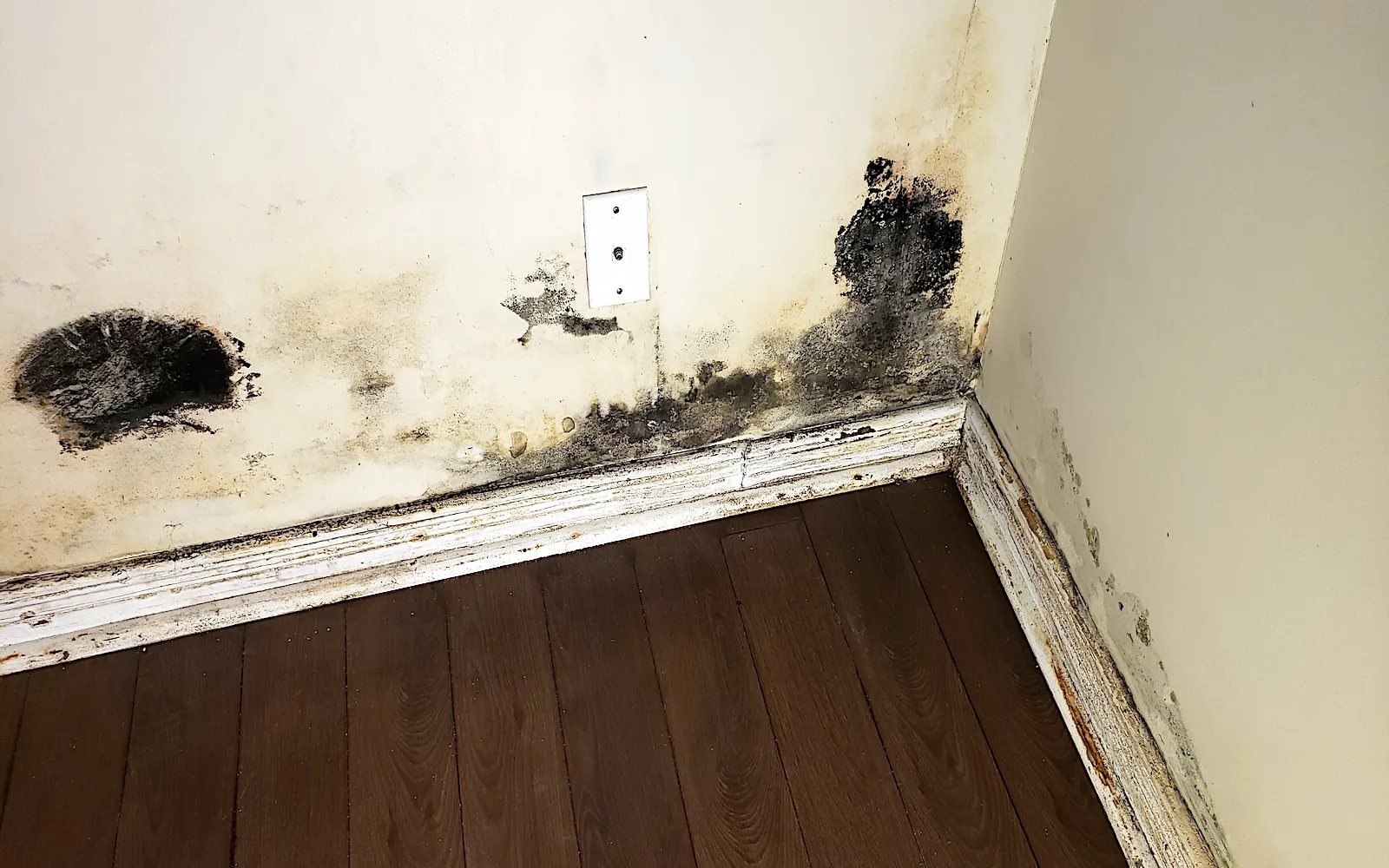 Wet drywall and stained baseboards caused by a concealed moisture problem